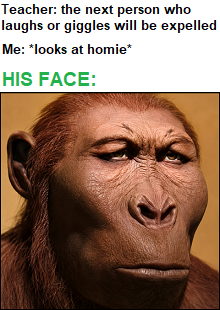 homeboyXD.png