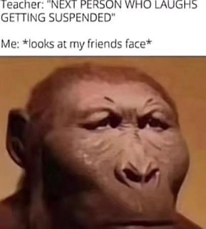 63bbe015598c4.jpg
