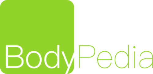 LOGO1.png