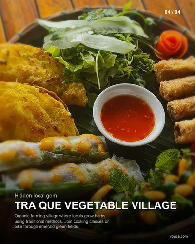 slide 04 tra que vegetable vi.jpg