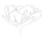 favlogo.png