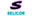 selicor neon sign brand logo 32x32.png