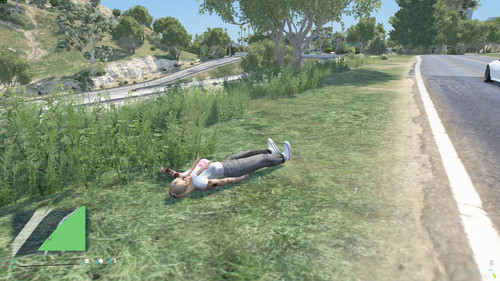FiveM GTAProcess lhxZuaZR9X.jpg