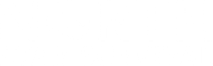 nss logo 300x.png