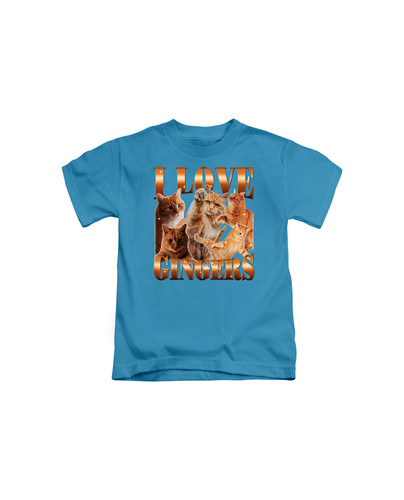d79 i love gingers cat+Sapphire.jpg