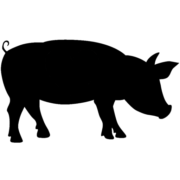 cropped Pig Icon square 180x180.png