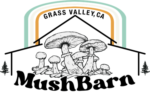New MushBarn Logo Cream mushrooms 1.png