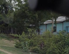 house.jpg