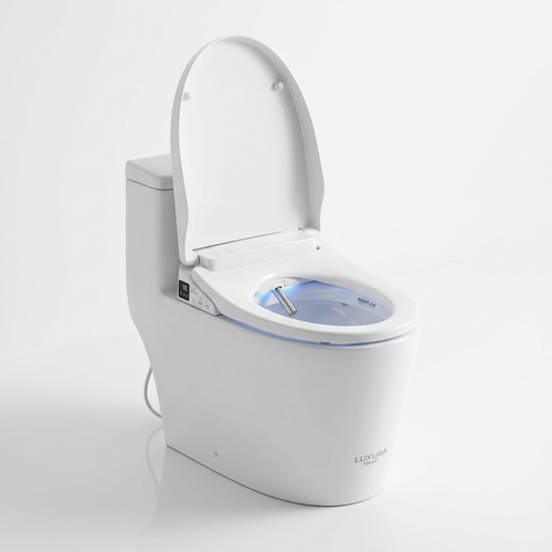 hot product 1 smart toilet 1780964501.png
