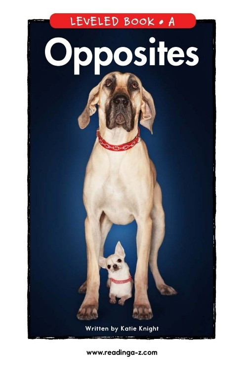 opposites.jpg