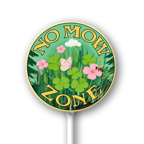 ZZ7.png