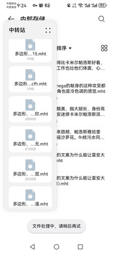 Screenshot 20260609 092430 com.huawei.filemanager.jpg