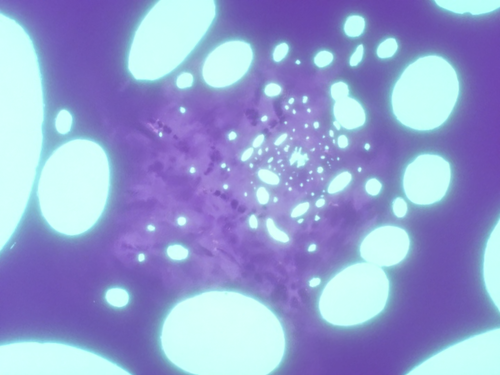 20260609 093414 792108.png