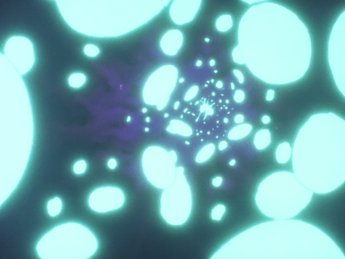 20260609 093312 319802.png
