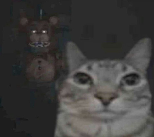 e803e10e4de94fc442ba4e5530f54c77.jpg