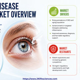 httpswww.24lifesciences.com 2026 06 09T124458.122