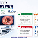 httpswww.24lifesciences.com 2026 06 09T132350.749