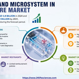 httpswww.24lifesciences.com 2026 06 09T131250.848