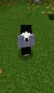 53fa0c64d5da.jpg