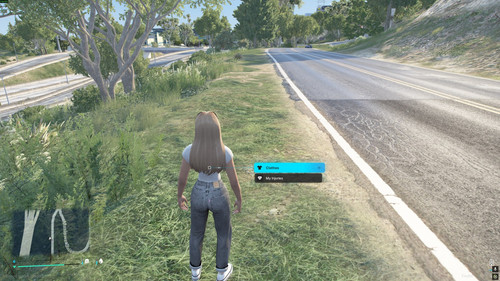 FiveM GTAProcess mMJ6OSJi0E.jpg
