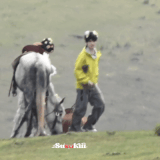 IMG 2785.gif