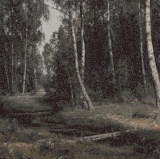 87601502 6752 4C93 825A E7B4355F6D05.gif