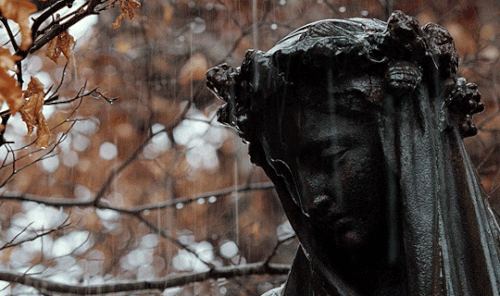 5D3199B3 181B 4DFD BEF8 B59BADFF3D59.gif