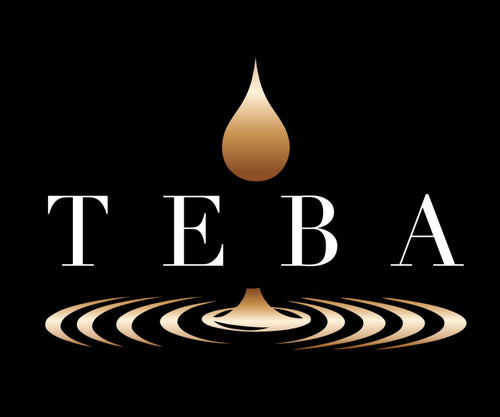 Teba Black Box Logo.jpg