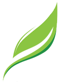 favicon 1 a291a598 89df 4c33 839c f9af1ce61f07.png