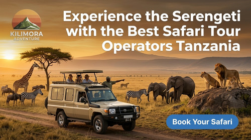 Experience the Serengeti with the Best Safari Tour Operators Tanzania.jpg