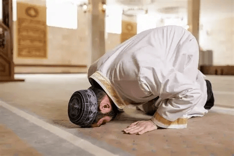 SUJUD.png