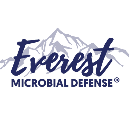 New Everest Logo transparent 2000x.png