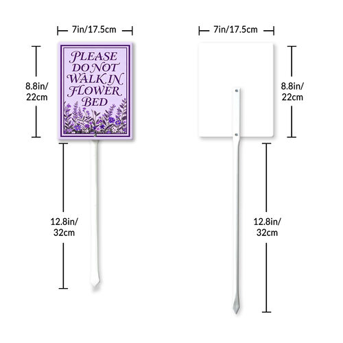 BD7.png