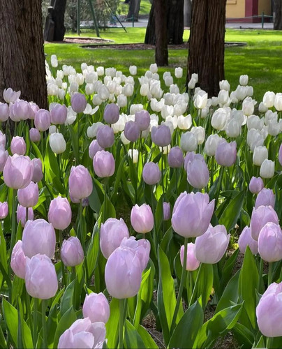 u=2000182470,3437883151&fm=253&app=138&f=JPEG.jpg