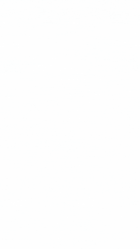 Teal 'N' Logo on Minimalist Splash Screen (21).gif