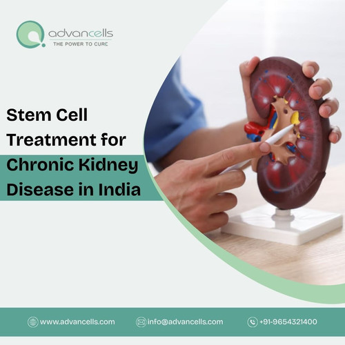CKD treatment in india...jpg