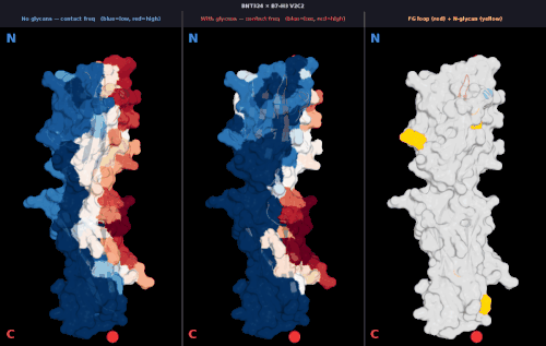 glycan v2 BNT324 v2 freq comparison.gif