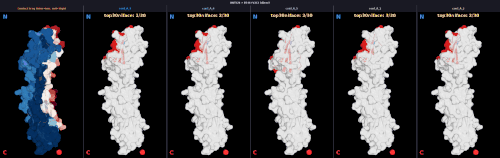 dimer v2 BNT324 v2 V2C2 freq npanel.gif
