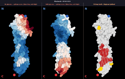 glycan v1 IFINATAMAB score comparison.gif