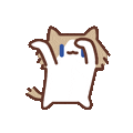mmexport1780987335110.gif
