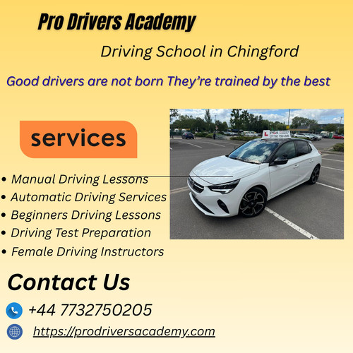 Driving Instructor in Chingford