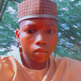 temp.png