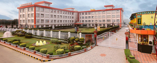The Perfect Environment for Academic Growth.jpg