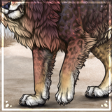 IMG 5336.png