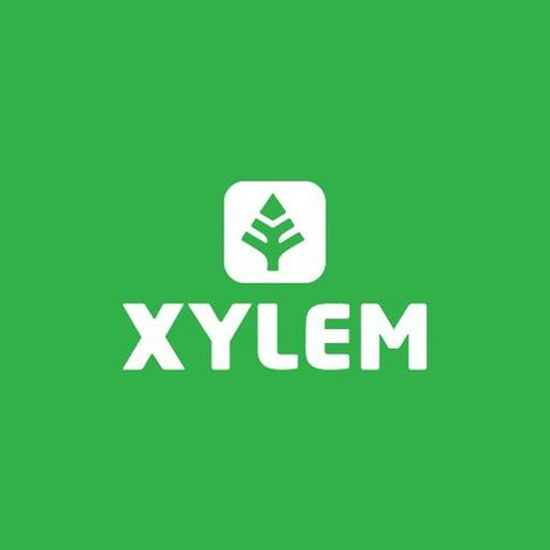 xylemchannel.jpg