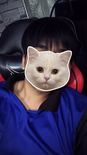 เสื้อแมว.jpg