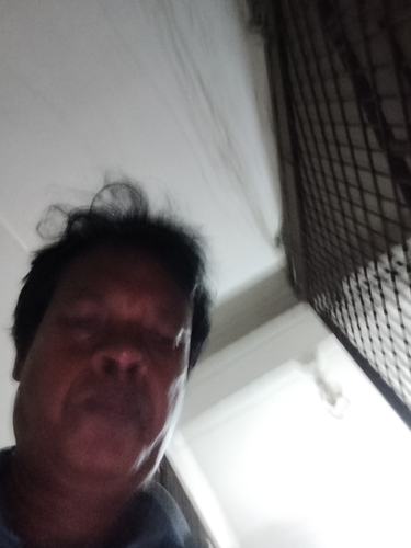 temp.png