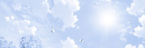 1000405504.jpg