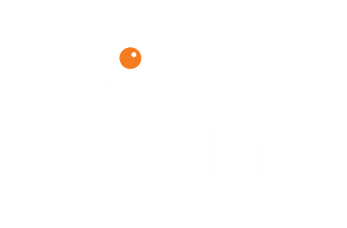 ZAMine Branco&Laranja.png