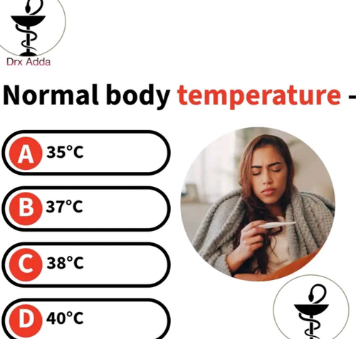 temp.png